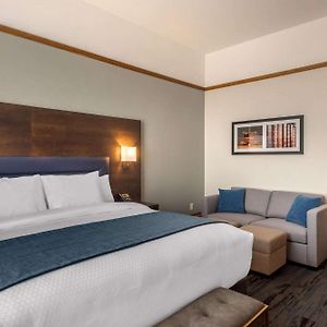 Standard King Room Sofa Bed